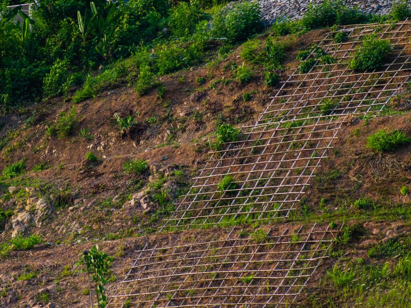 Long-Term Maintenance